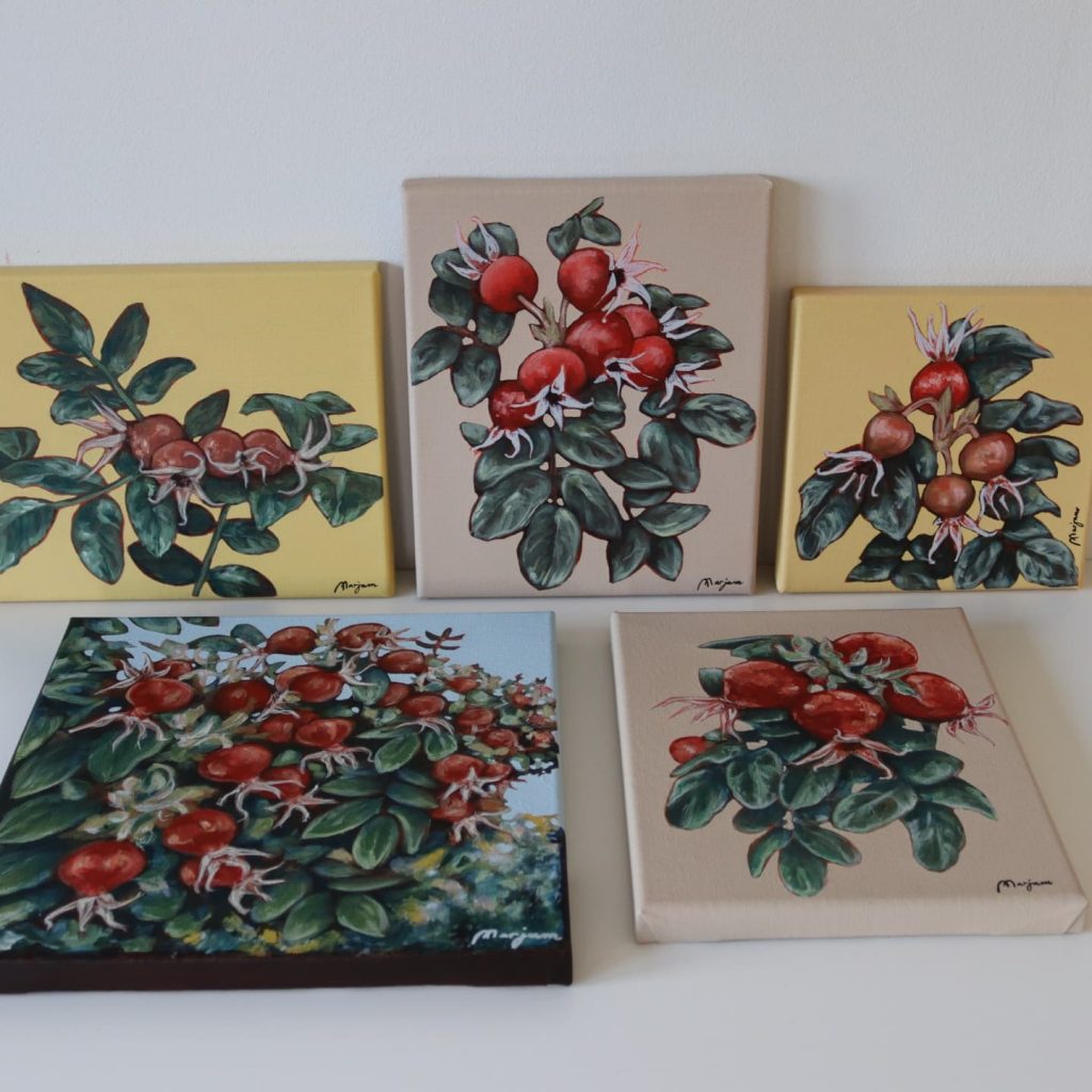 IMG_20211102_185620_431