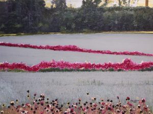 Tarjoan sinulle tervapastilleja