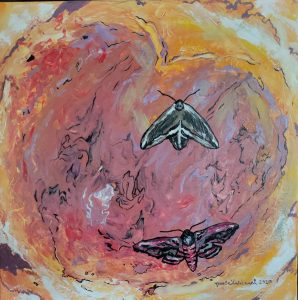 Sphingidae Tripudium