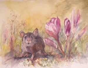 Hiirulainen krookuspenkissä