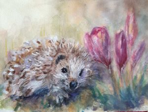 Siili krookuspenkissä