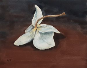 Pudonnut 2.