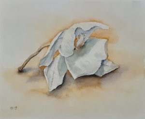 Pudonnut 3.