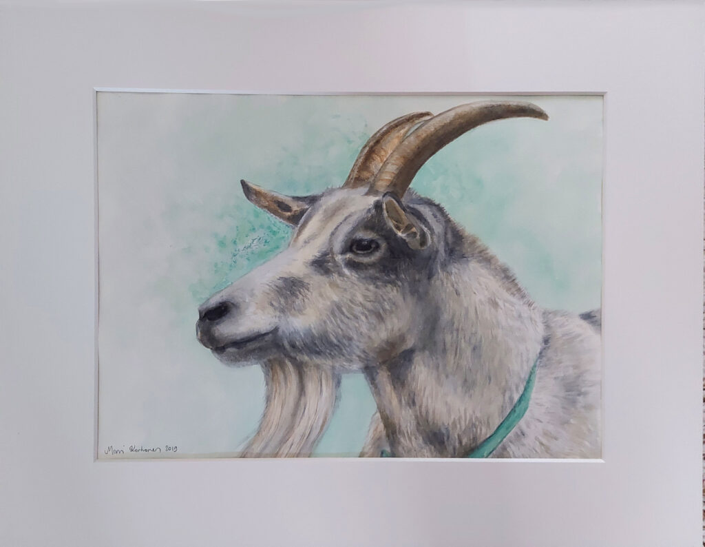 Vuohipukki_paspartuuri