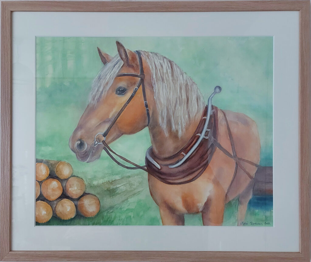 Liinaharja_kehyksissa