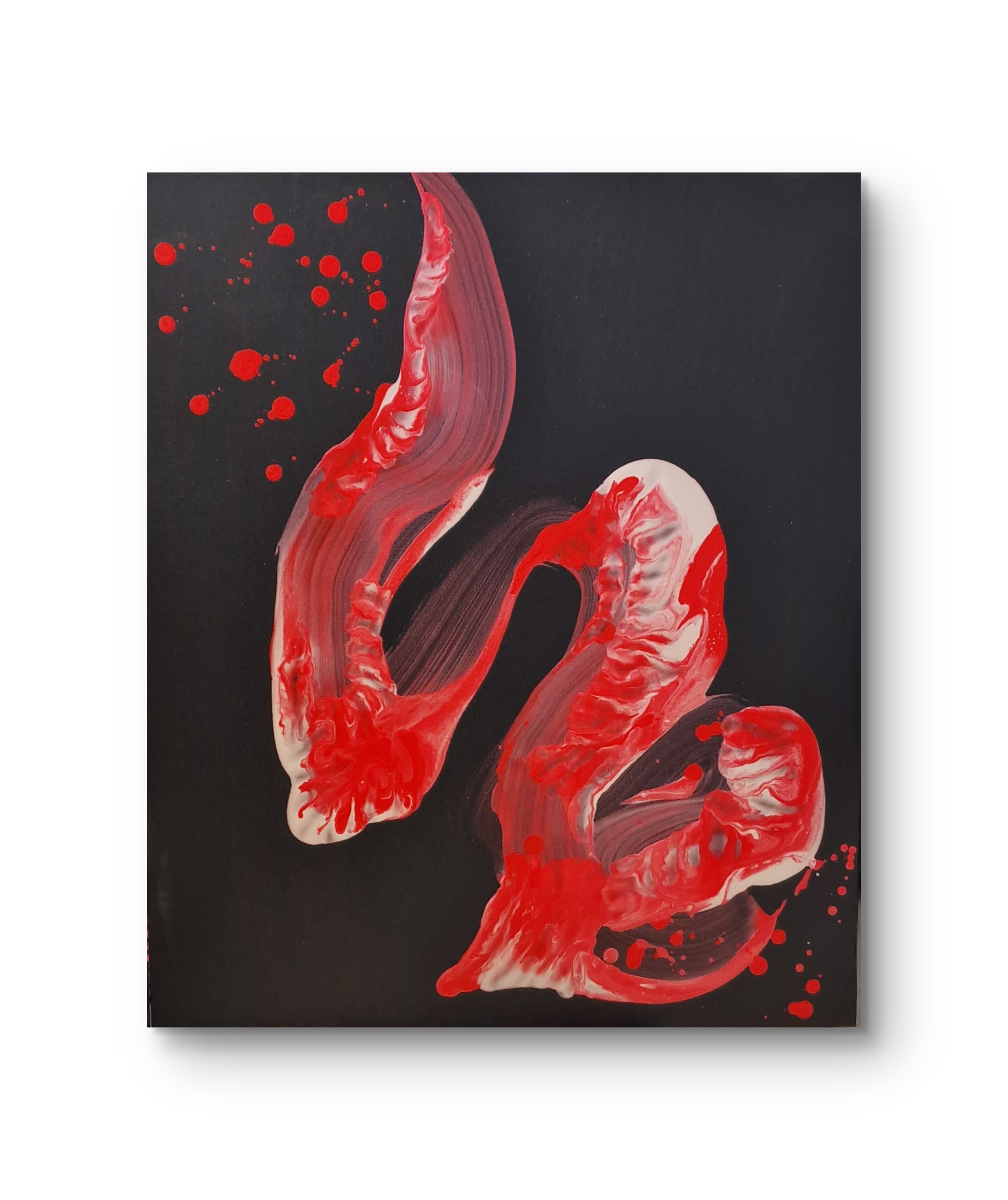 31635320-33dc-11f0-94c2-5723541ee41b