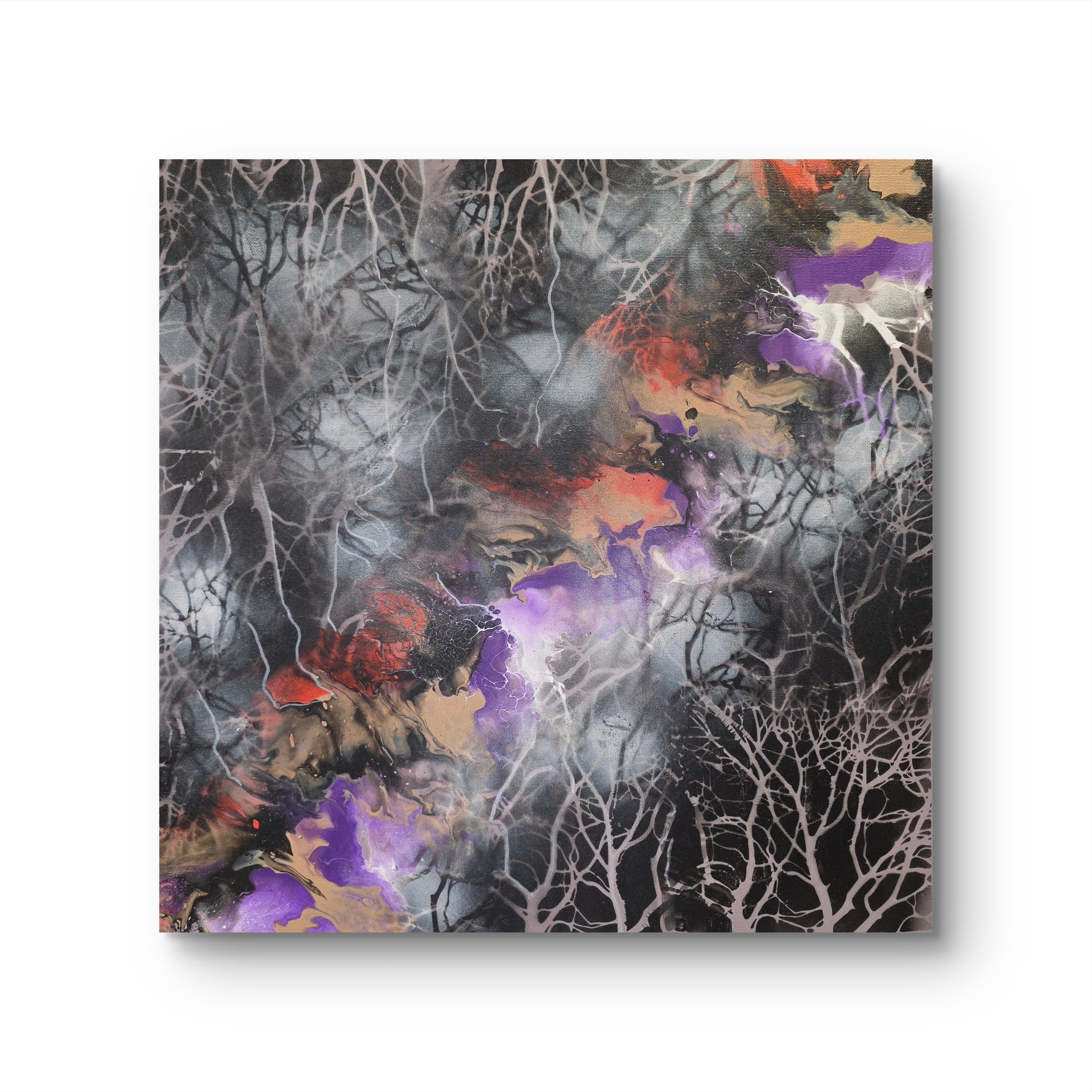 e4906480-1593-11f1-977e-c5b5d35f2560