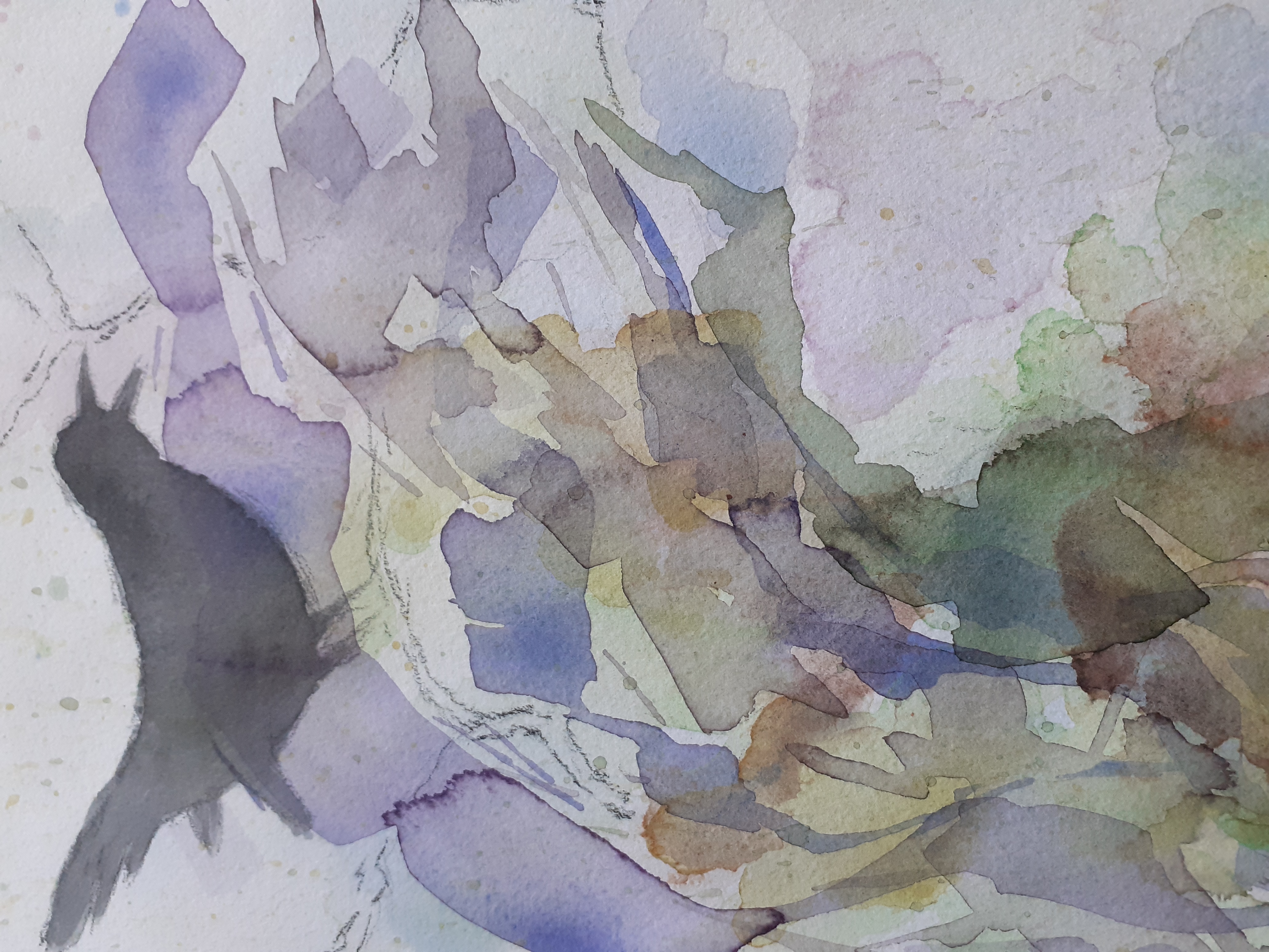 2.-Quiet-forest-road2