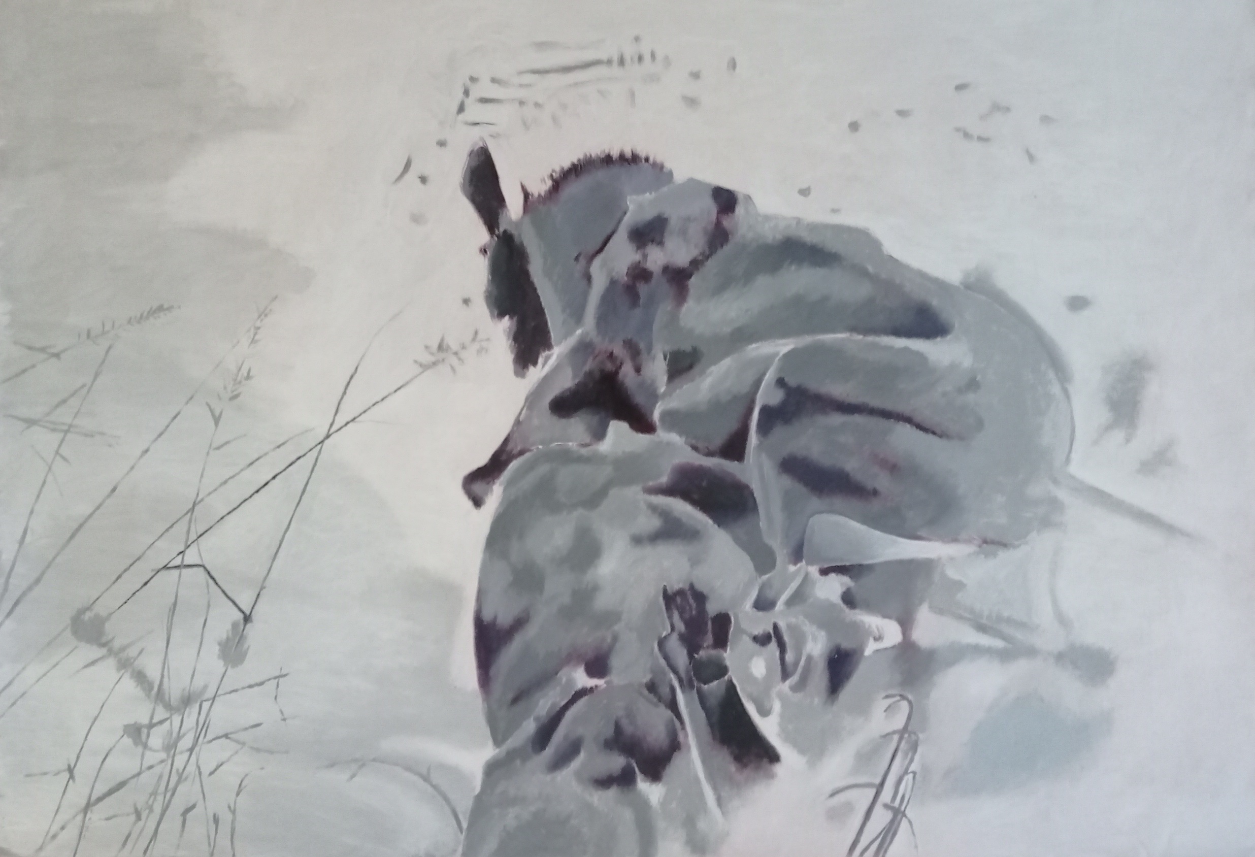 Nature-120-x-88-cm-2021